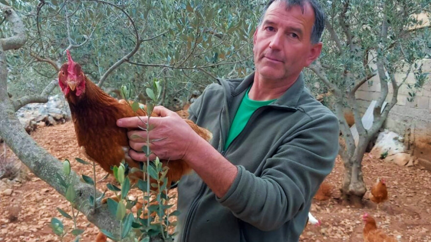 Stotinjak koka Tončija Krželja dnevno snese osamdesetak jaja