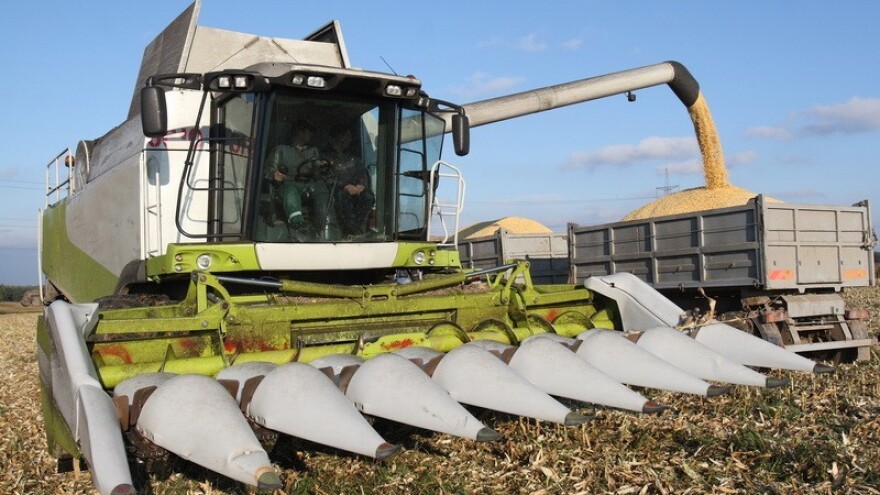 140 eura po toni mađarskog kukuruza