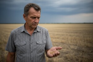 Cijena pšenice mogla bi opravdano pasti