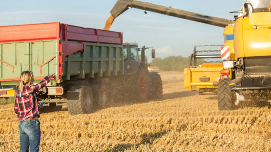 Tečajne promjene dovele do viših cijena pšenice