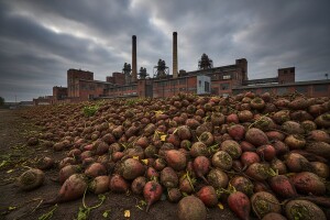 Cijena šećera pod utjecajem stranih tržišta