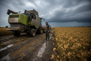 Cijena uljane repice