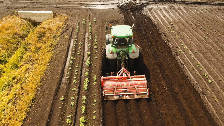 U Nizozemskoj cijena hektara preko 60 tisuća eura, Rumunjska najjeftinija