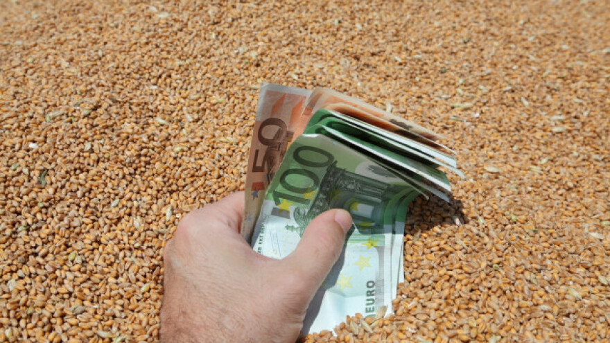 Pšenica jeftinija 21% u odnosu na rujan lani!