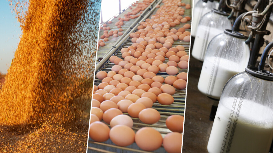 Cijene u poljoprivredi EU - 2022. najviše poskupila tri proizvoda