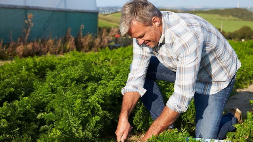 Snažan pad cijena hrane u prosincu