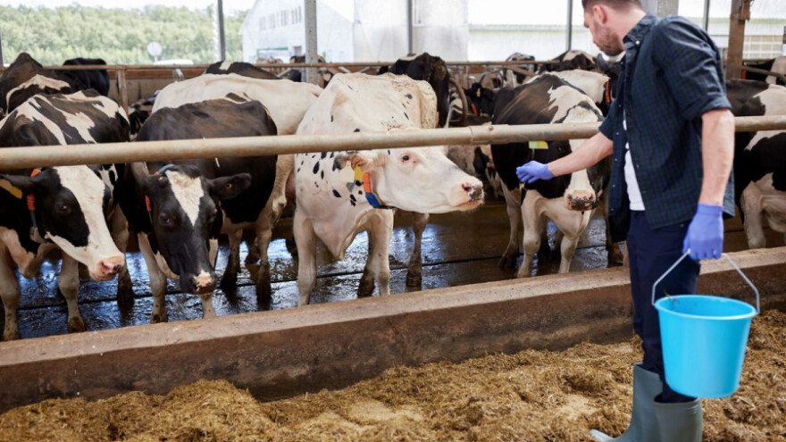 U godini dana cijene u poljoprivredi pale 1,7%