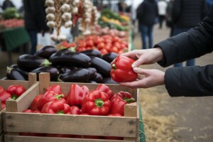 Cijene povrća u veljači na tržnicama