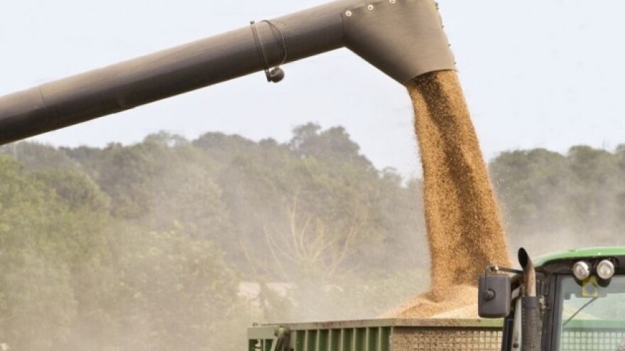 Padaju cijene prehrambenih proizvoda