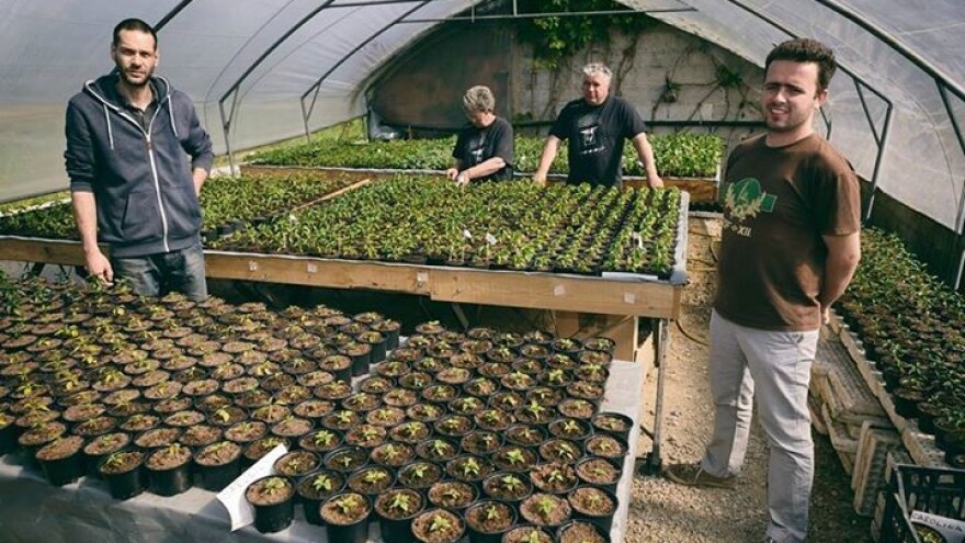 Cijene poljoprivrednih proizvoda strmo padaju!