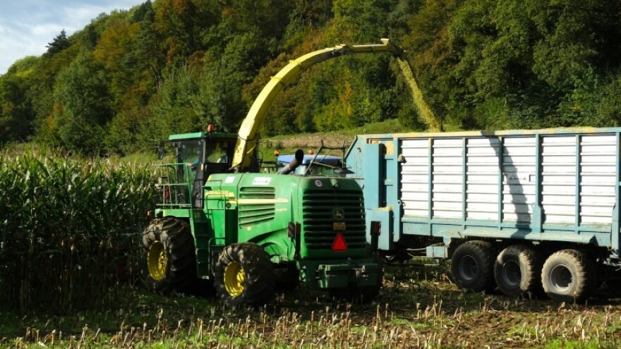 Pad cijena i proizvodnje žitarica u 2015.