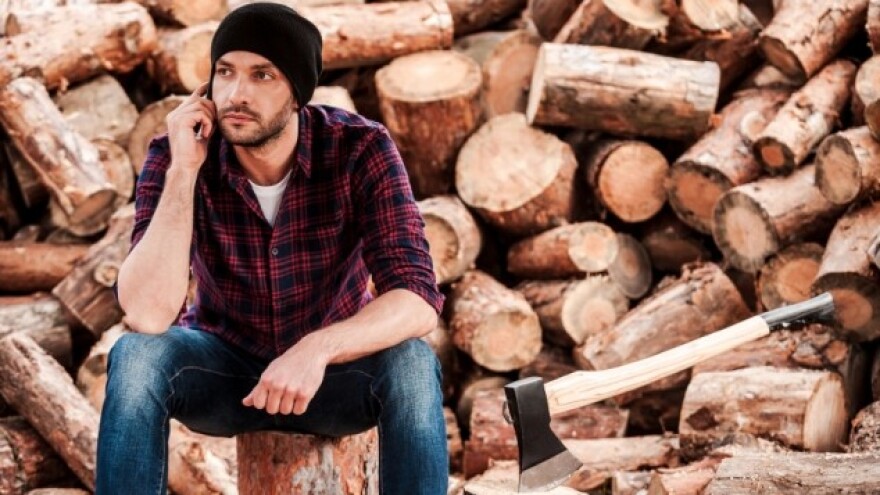 Kako pravilno pripremiti drva za ogrev?