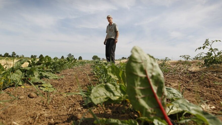 Povrtlarima i ratarima propala godina!