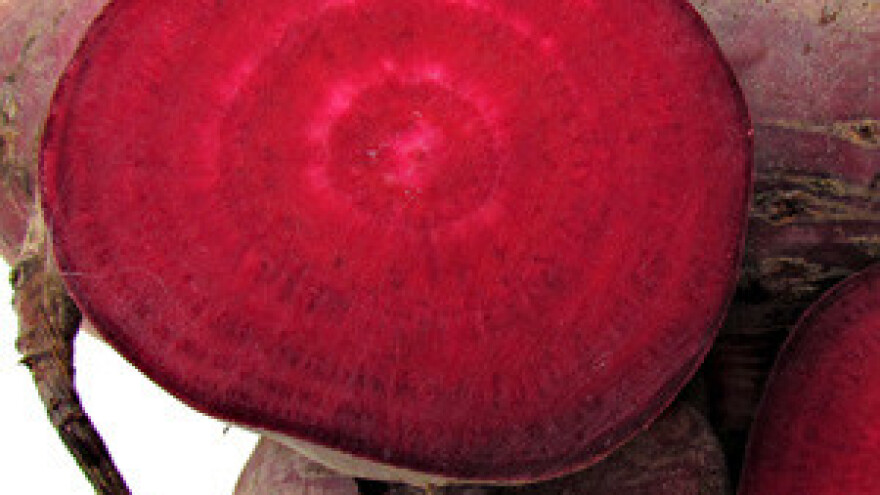 Skupila bakine recepte, otvorila obrt i pokrenula proizvodnju sirupa