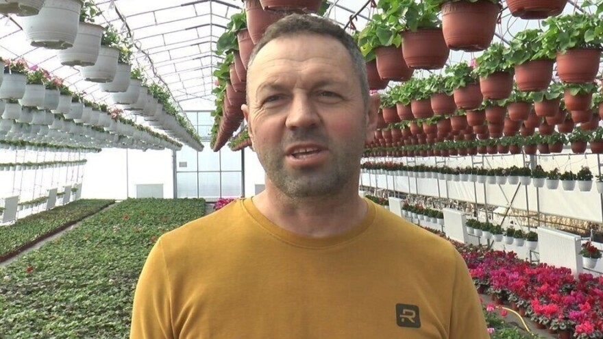 Šta kažu cvećari - koje cveće se najviše prodaje pred Dan žena?