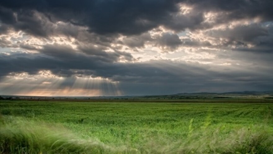 Gracija poharala voćnjake Dalmacije