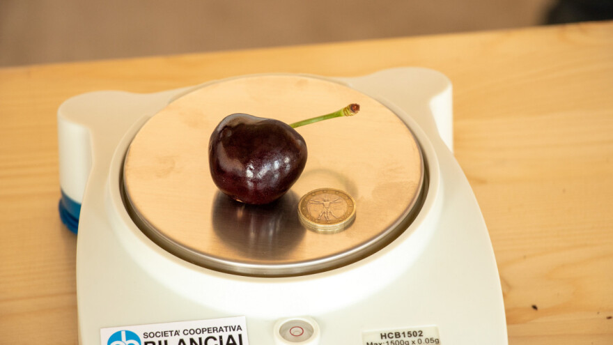 Trešnja iz Italije upisana u Guinnessovu knjigu rekorda - nosi titulu najteže