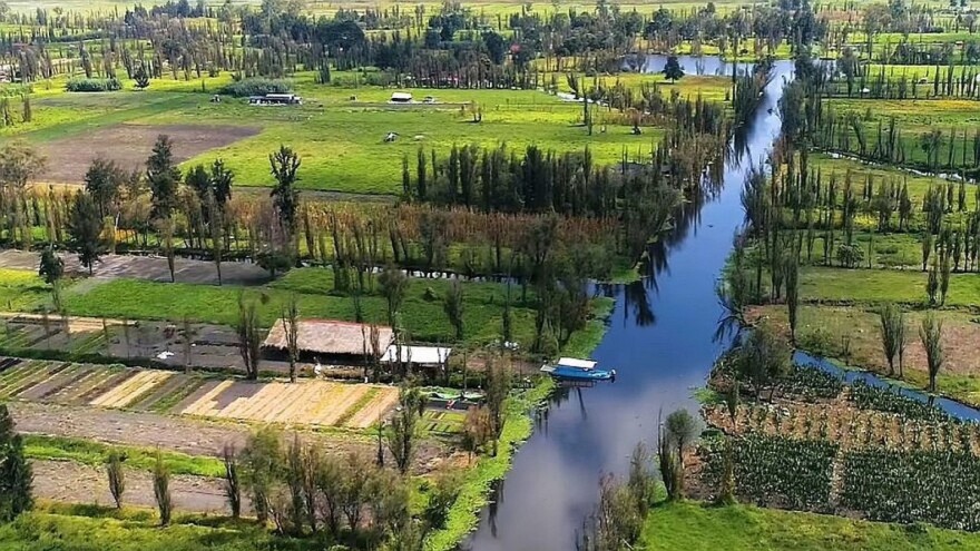 Što su chinampas i zašto se nameću kao rješenje proizvodnje hrane?