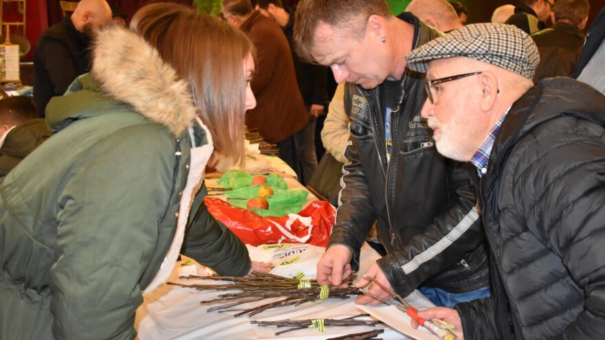 Iz Cernika diljem Europe, razmijenjene tisuće plemki i sjemenja starih sorti voća i povrća