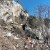 Ružni i opasni prizor uz Cetinu - uz otpad odbačena i uginula stoka te pokvareni pršuti