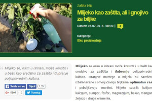 Top 10 najčitanijih tekstova u 2016. godini!