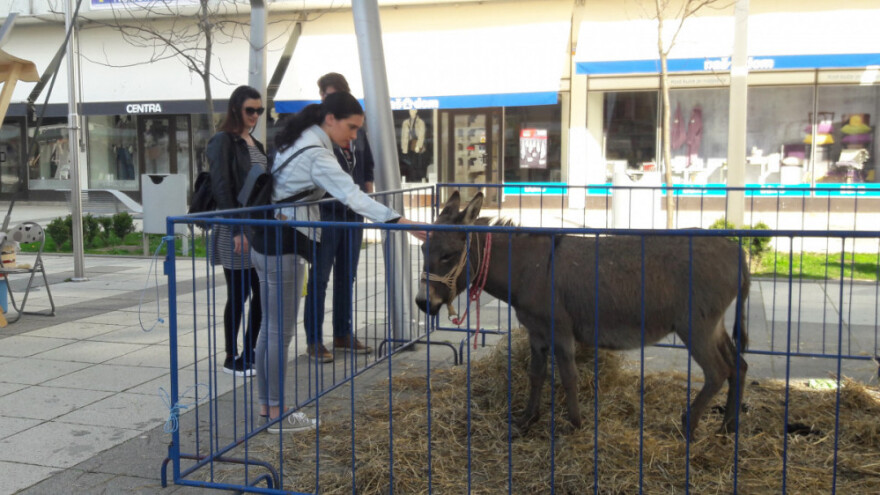 Gradska farma u Osijeku približila selo građanima