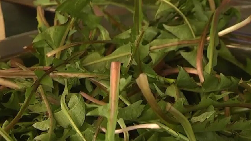 Proljeće je vrijeme za salatu od samoniklog bilja