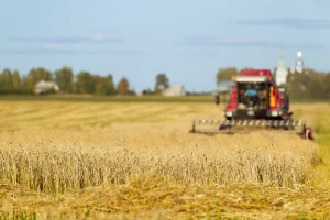 OPG Čižmešija: Prinos uljane repice od 4,5 t/ha i pšenice od 8,3 za Međimurje je izniman rezultat