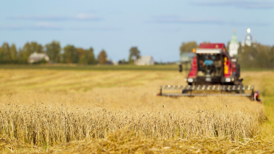 OPG Čižmešija: Prinos uljane repice od 4,5 t/ha i pšenice od 8,3 za Međimurje je izniman rezultat
