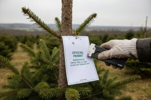 Cjenici popratnica božićnih drvaca i naknada