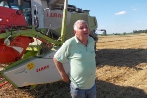 Žetva pšenice u Hrastovcu uvijek je uspješna