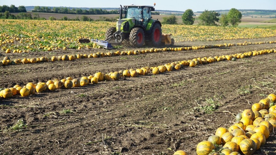 Vrijednost otkupa od OPG-ova lani porasla za 11 posto