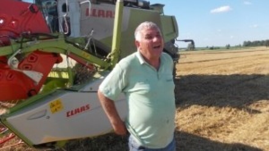 Žetva pšenice u Hrastovcu uvijek je uspješna