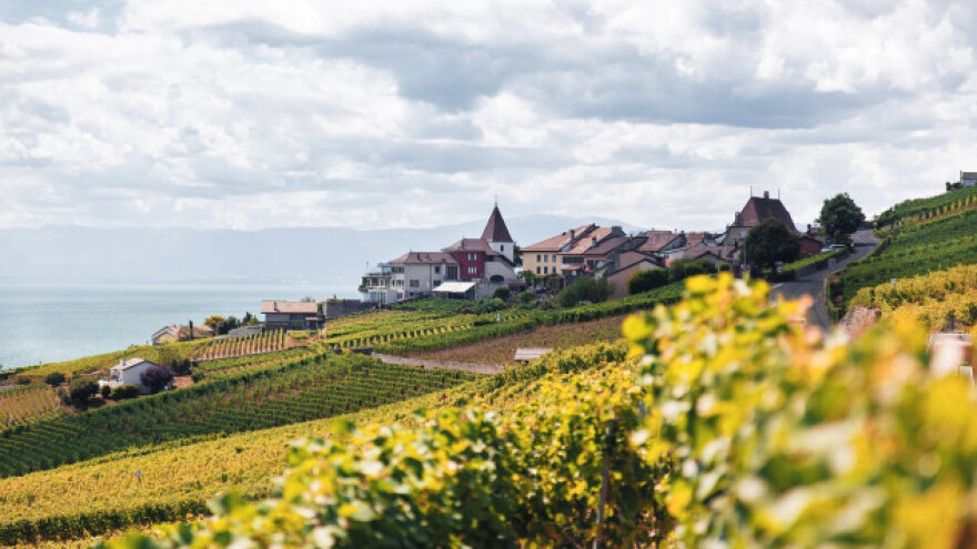 Izmjene Natječaja za tip operacije 7.1.1.