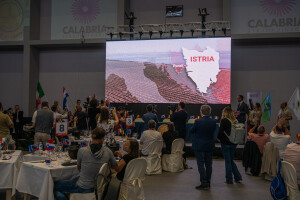 Svjetsko ocjenjivanje Concours Mondial de Bruxelles 2023. dolazi u Istru