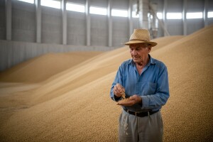 Čobanković: Država povećava zaštitnu cijenu pšenice na 1,05 kuna