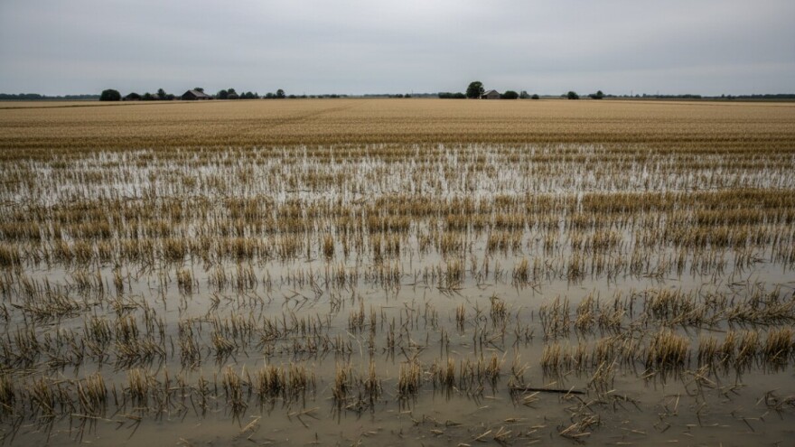 Čobanković: Nemojte napuhavati štete
