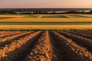 Čobanković o strategiji regionalnog razvoja