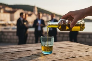 Čobanković otvara Noćnjak 2011.