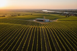 Čobankovićevi sinovi pokupovali desetke hektara i uživaju u poticajima
