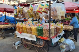 Jedan dan na ulicama Mumbaija - koza kao pratnja