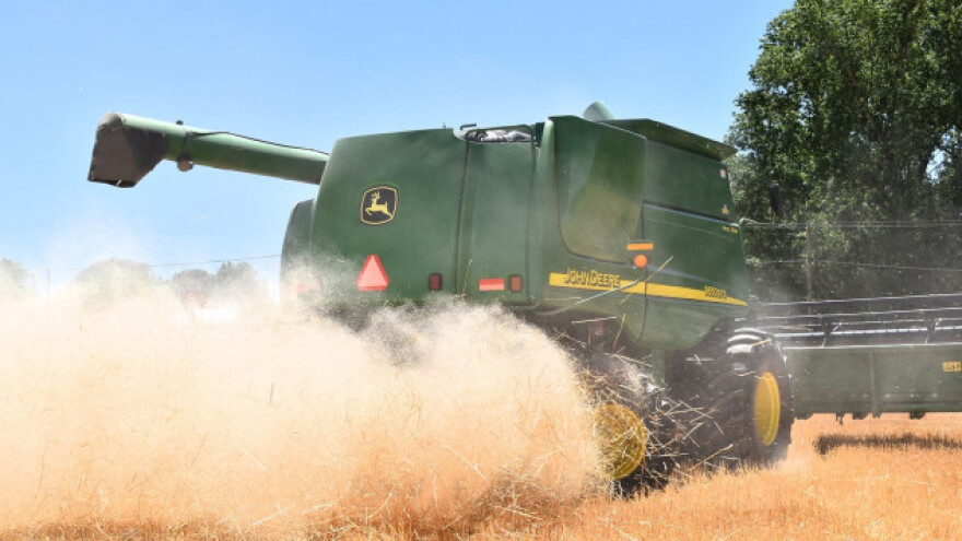 Rusija najveći izvoznik pšenice na svijetu