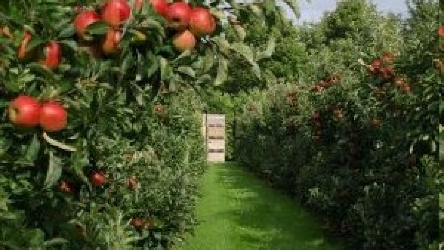 CONDIT® ECO 2.5% - energija za vaše tlo