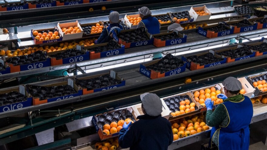 Španske kompanije donose rešenja za sve potrebe: Od kalibraže do ambalaže