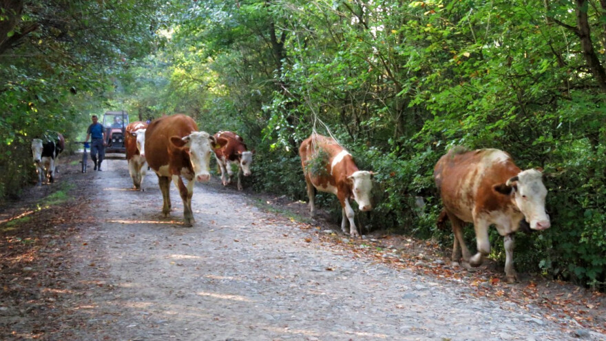 HPK: ZPP je na prekretnici - sve nove zahtjeve treba dodatno financirati
