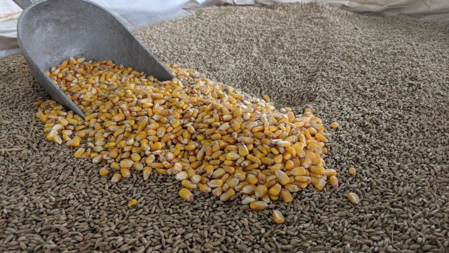 Na tržištu kukuruza izvoznici pasivni usled snabdevenosti robom