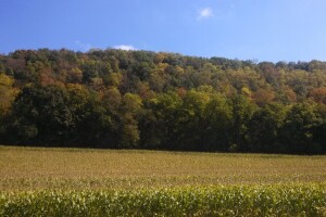 Stiže osjetno zahlađenje: Temperatura će pasti za 15°C