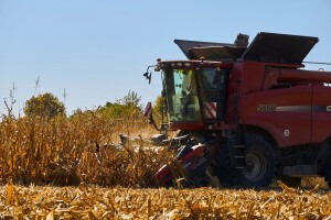 Trumpova administracija razbjesnila farmere, rafinerijama olakšano odustajanje od kukuruza