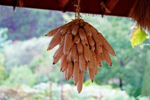 Red sunca, red oblaka, red padavina
