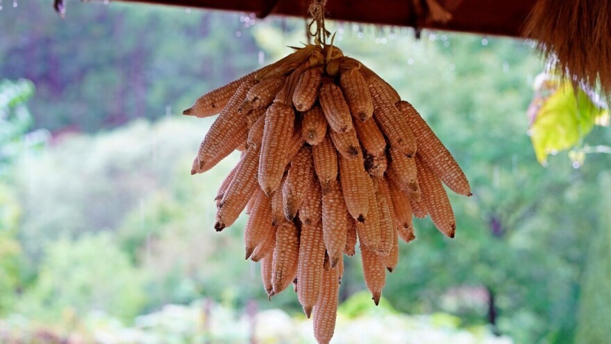 Red sunca, red oblaka, red padavina